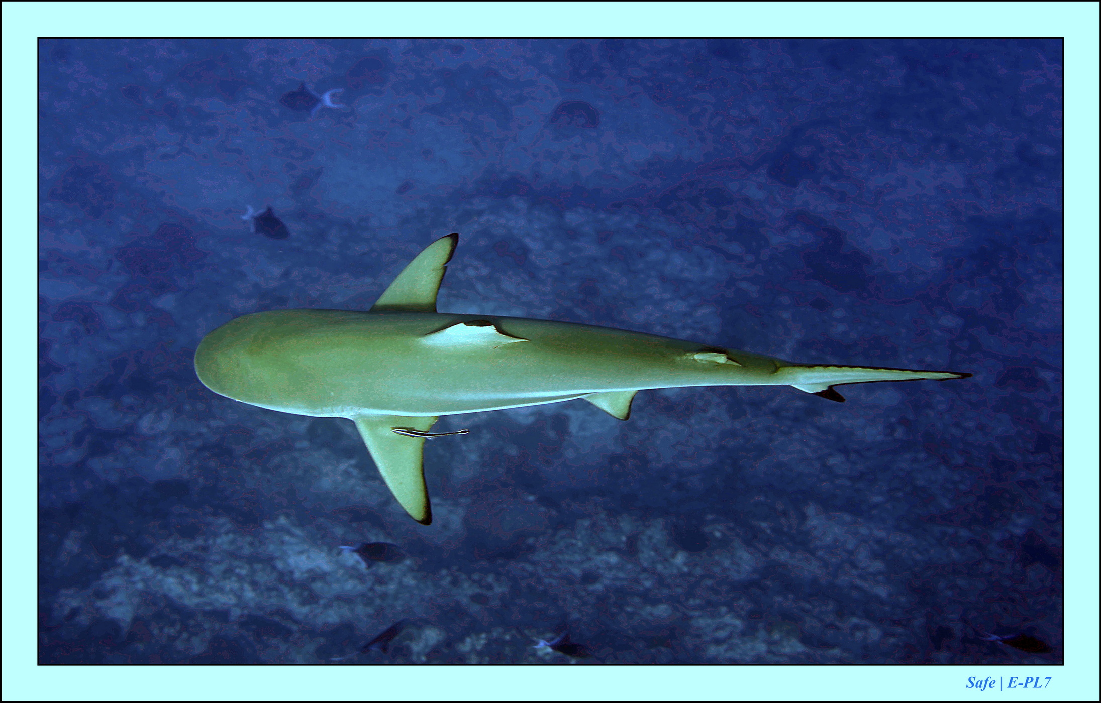 2023 - 07 - Sandies Bathala - 165